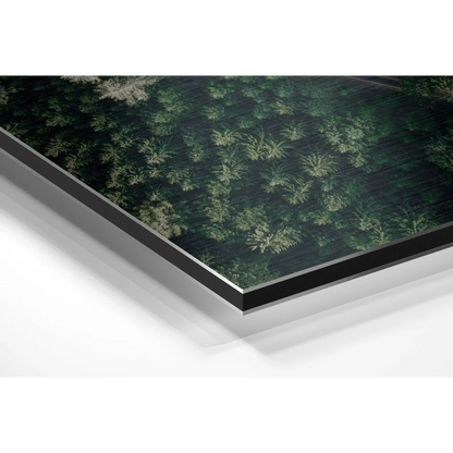 Stunning Forest Print on Brushed Aluminium Dibond | Glass Wall Art Print | vintageantiquesgifts.com