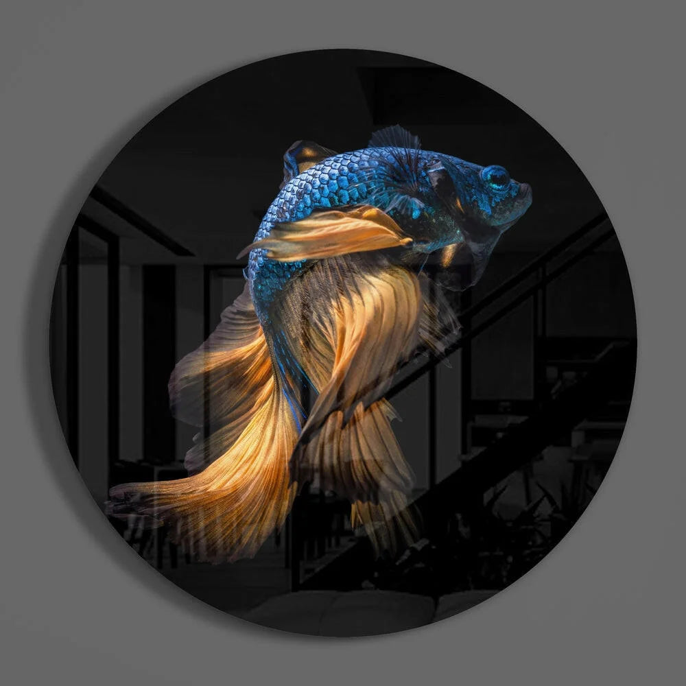 Vibrant blue gold betta fish in stunning tempered glass art