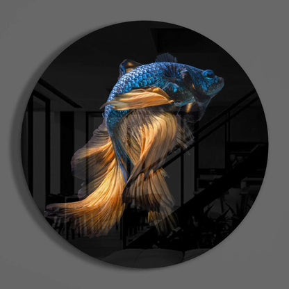 Vibrant blue gold betta fish in stunning tempered glass art