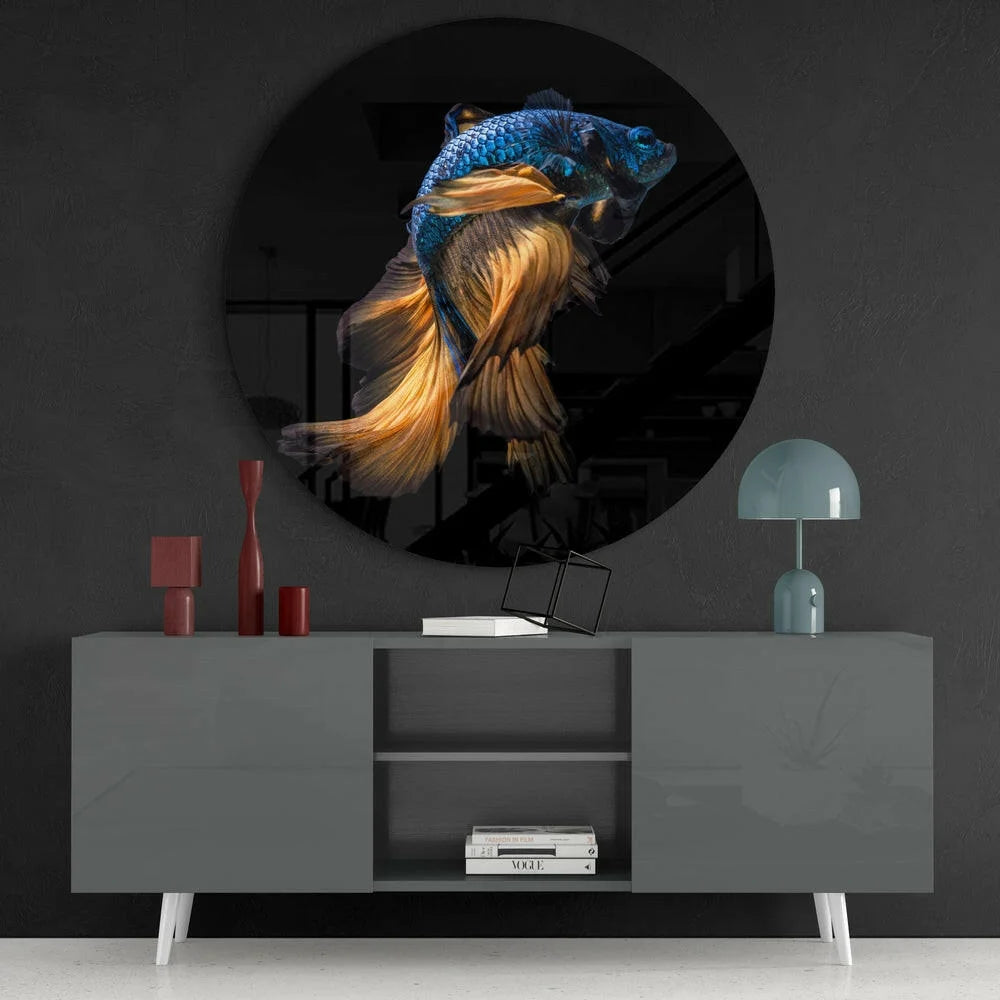 Vibrant blue gold betta fish in tempered glass art for walls