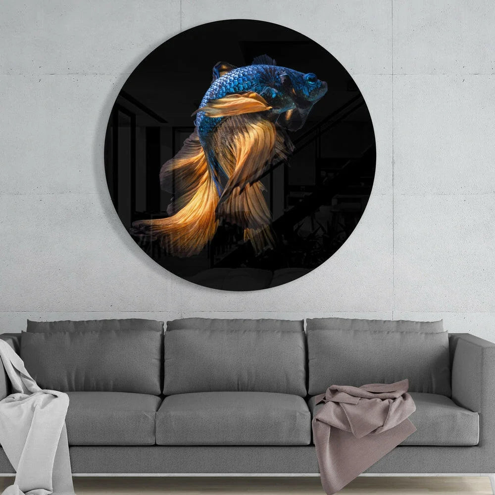 Vibrant blue gold betta fish tempered glass art on black background