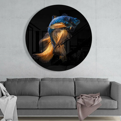 Vibrant blue gold betta fish tempered glass art on black background