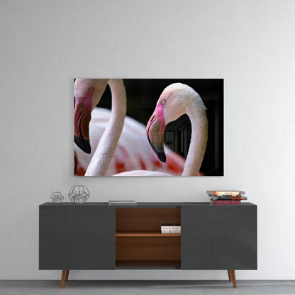 Stunning pink flamingo glass wall art canvas print with two birds on dark background