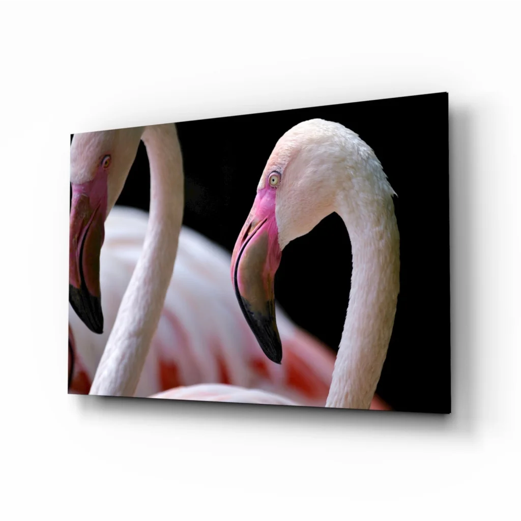 Stunning pink flamingo glass wall art canvas print with soft white feathers