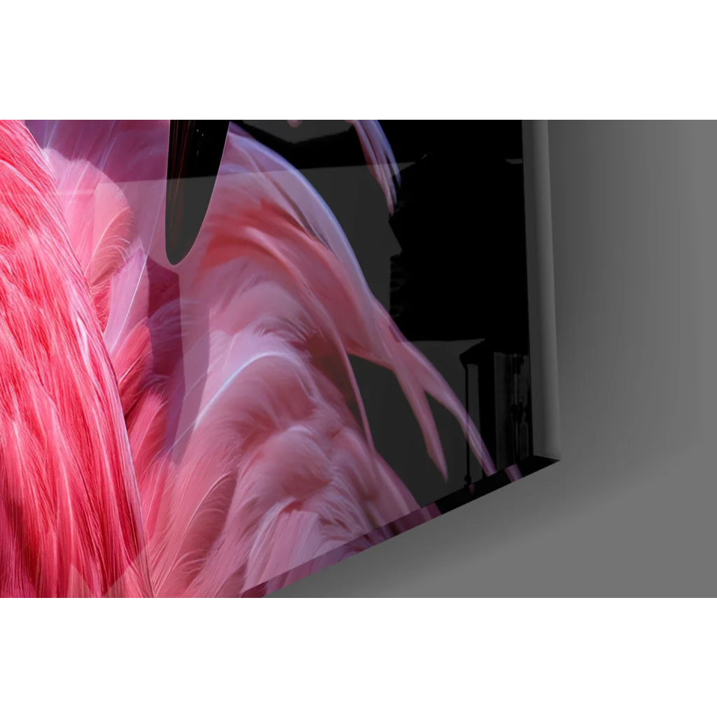 Vibrant pink flamingo feather glass wall art on sleek black canvas
