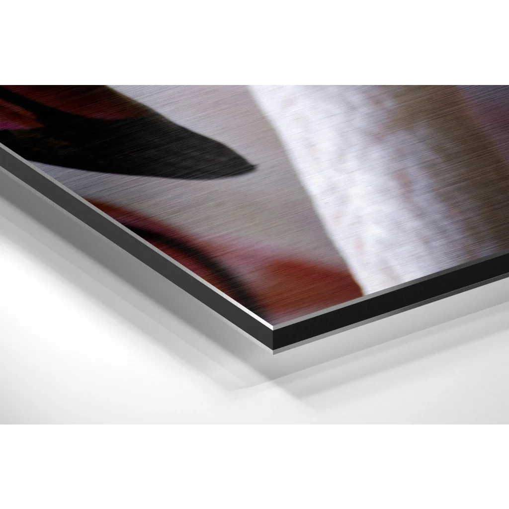 Stunning Brushed Aluminium Dibond Art Print That Pops | Glass Wall Art Print | vintageantiquesgifts.com