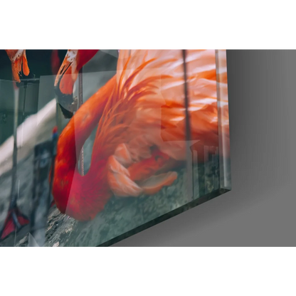 Vibrant orange flamingo in glossy framed glass wall art print