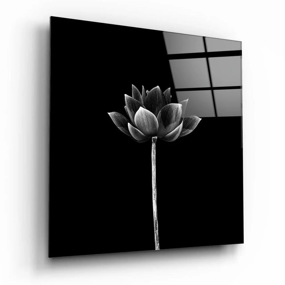 Stunning minimalist lotus glass wall art panel in black and white