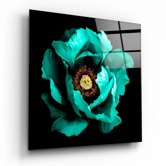 Vibrant teal peony glass wall art on glossy black panel