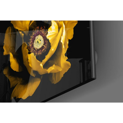Vibrant yellow poppy glass wall art print with purple white center on black screen