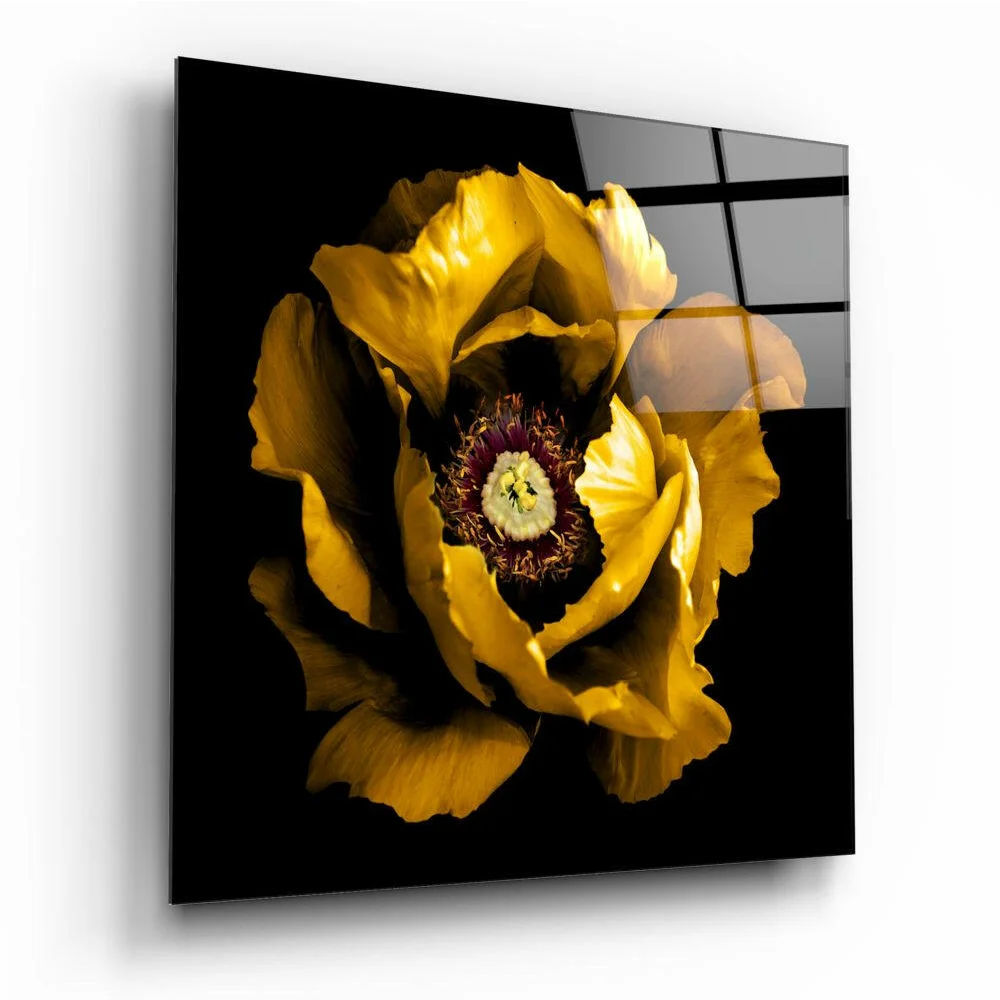 Vibrant yellow poppy glass wall art on black acrylic panel
