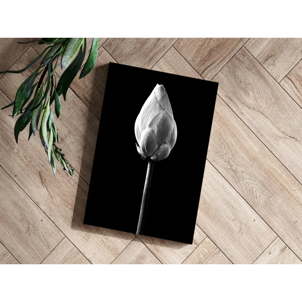 Lotus Bud Insigne Aluminum Prints for Modern Walls | Modern Wall Art Decor | vintageantiquesgifts.com