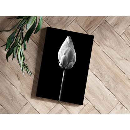 Lotus Bud Insigne Aluminum Prints for Modern Walls | Modern Wall Art Decor | vintageantiquesgifts.com