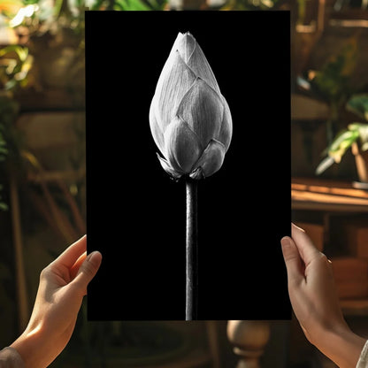 Detailed black-and-white lotus bud on insigne aluminum print