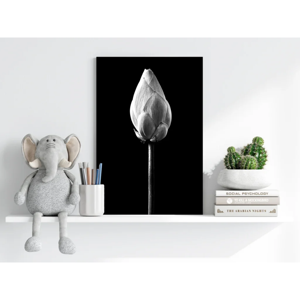 Close-up black-and-white unopened lotus bud on Insigne aluminum print