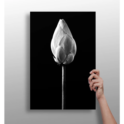 Lotus Bud Insigne Aluminum Prints for Modern Walls | Insigneart USA | vintageantiquesgifts.com