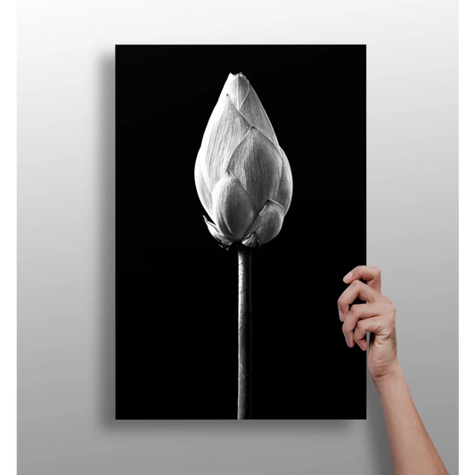 Lotus Bud Insigne Aluminum Prints for Modern Walls | Insigneart USA | vintageantiquesgifts.com
