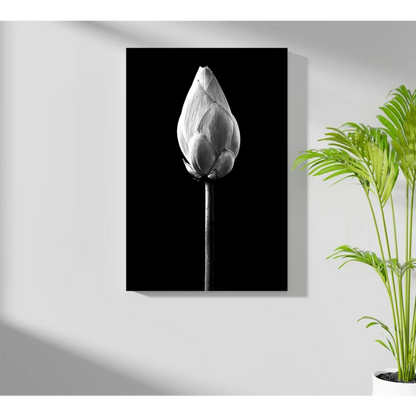 Black-and-white lotus bud insigne aluminum print on canvas
