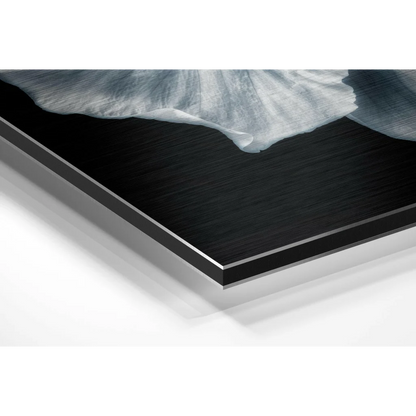 Stunning Floral Brushed Aluminium Dibond Wall Art | Glass Wall Art Print | vintageantiquesgifts.com