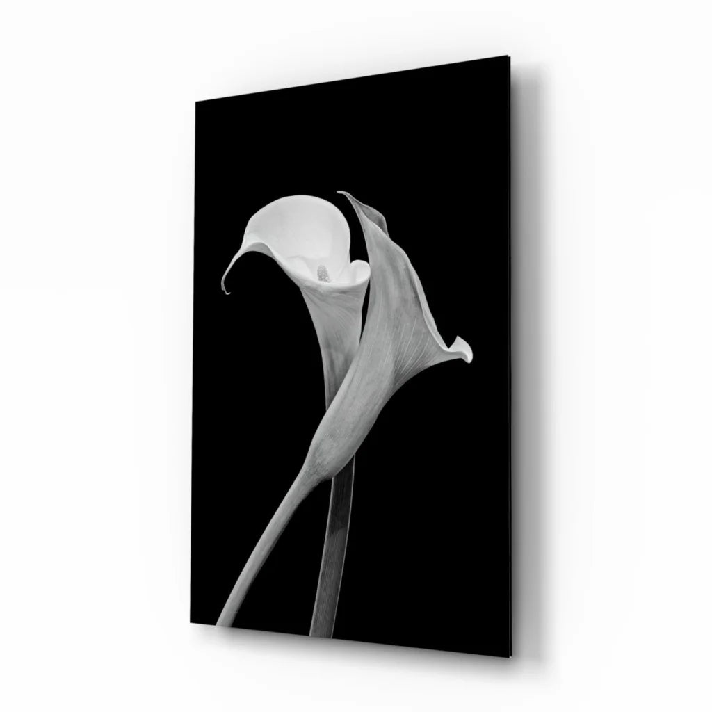 Elegant Calla Lily Canvas Wall Art in Black and White | Insigneart USA | vintageantiquesgifts.com