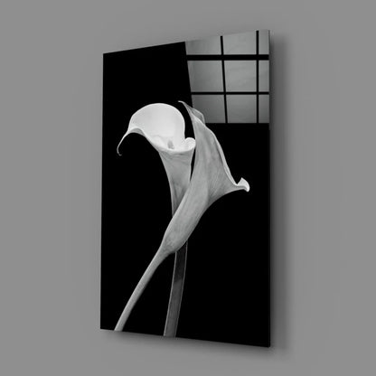 Elegant Calla Lily Canvas Wall Art in Black and White | Glass Wall Art Print | vintageantiquesgifts.com