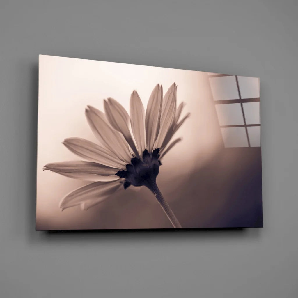 Vintage Daisy Sepia Canvas Wall Art Print | Glass Wall Art Print | vintageantiquesgifts.com