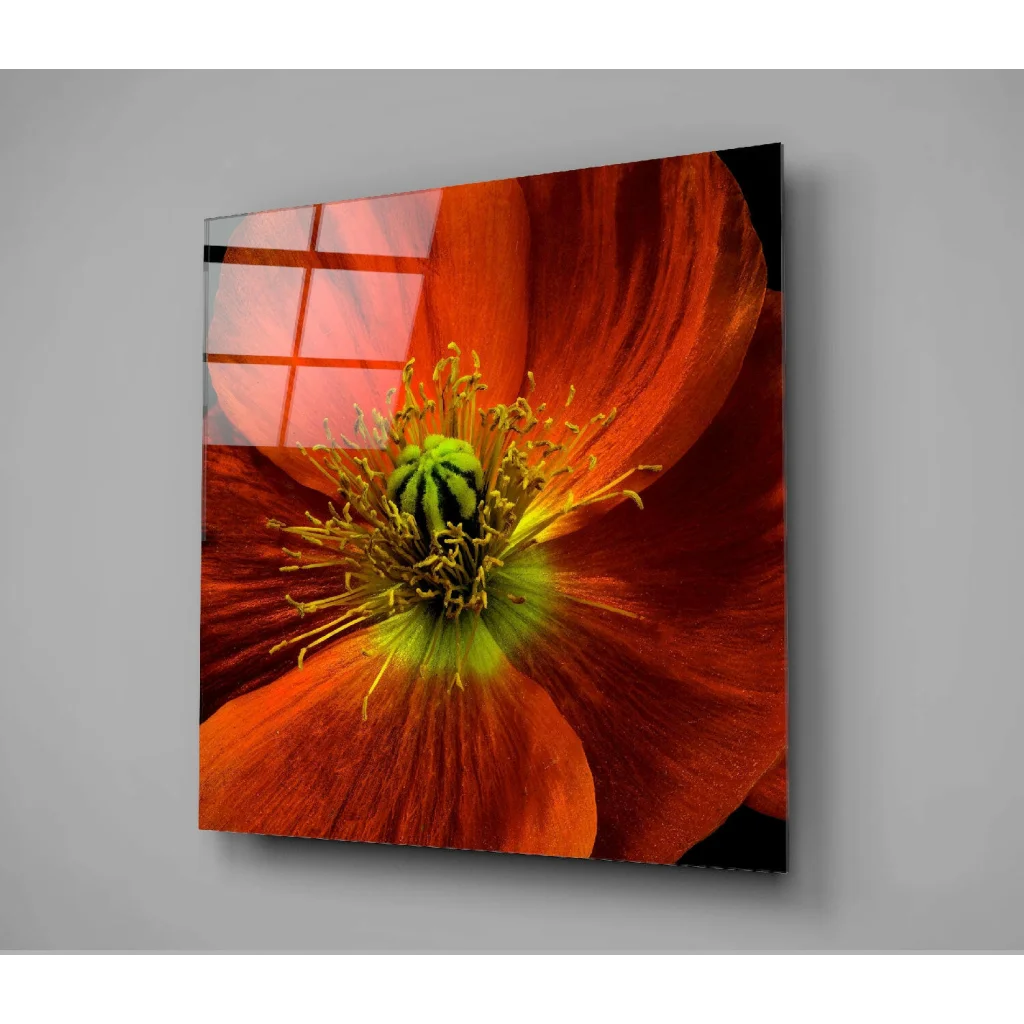Stunning orange poppy glass wall art panel with vibrant print