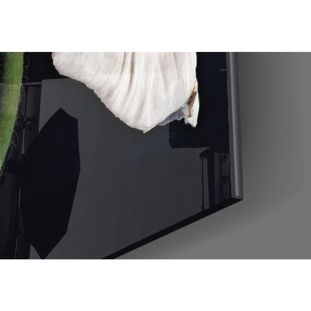 Stunning wilted poppy glass wall art in black and white