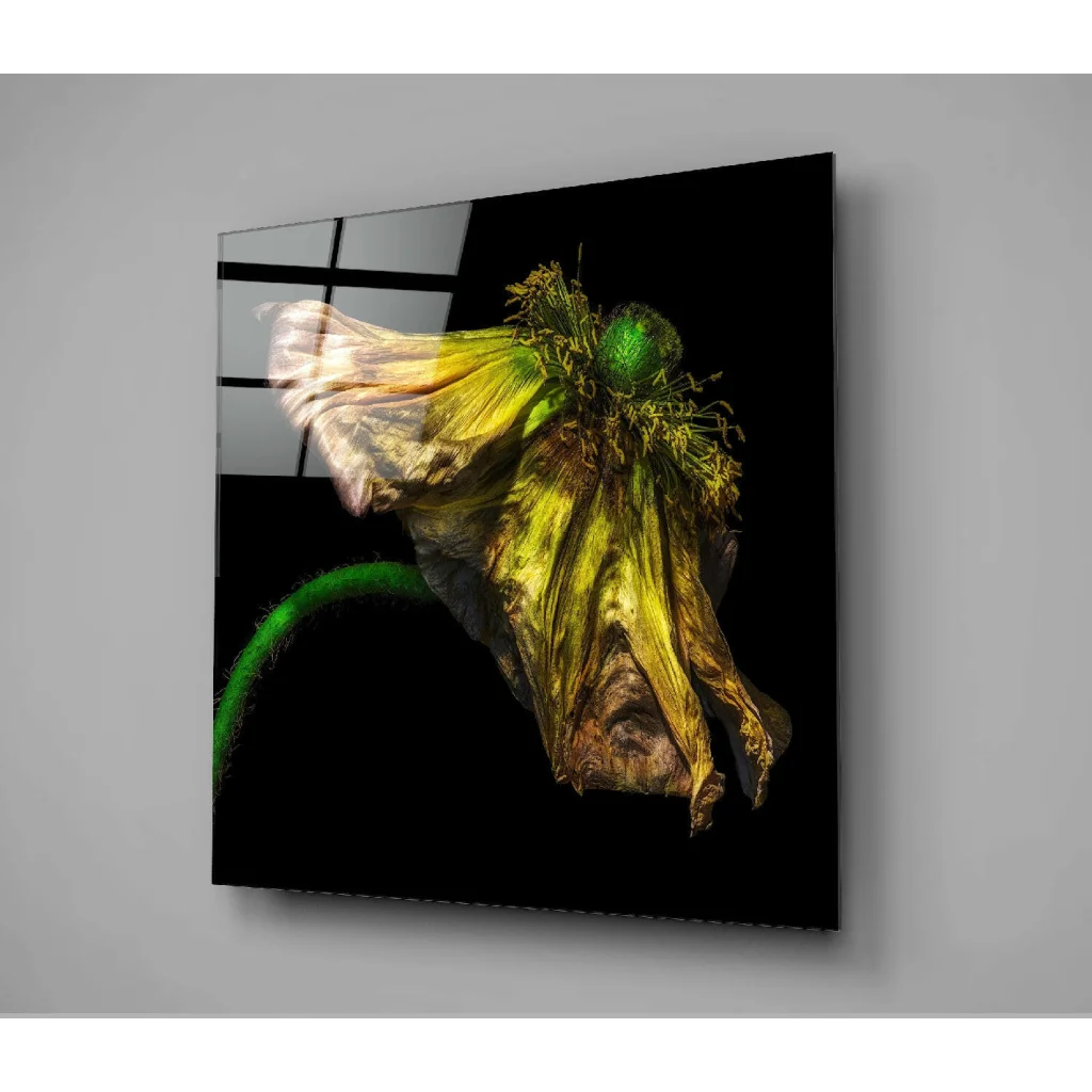 Withered Poppy Glass Wall Art With Golden Yellow Petals | Modern Wall Art Decor | vintageantiquesgifts.com