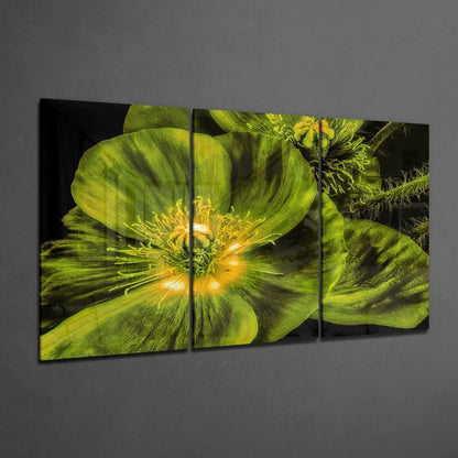 Vibrant green poppy glass wall art triptych in tri-panel format