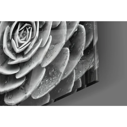 Black and white succulent wall art canvas with water droplets