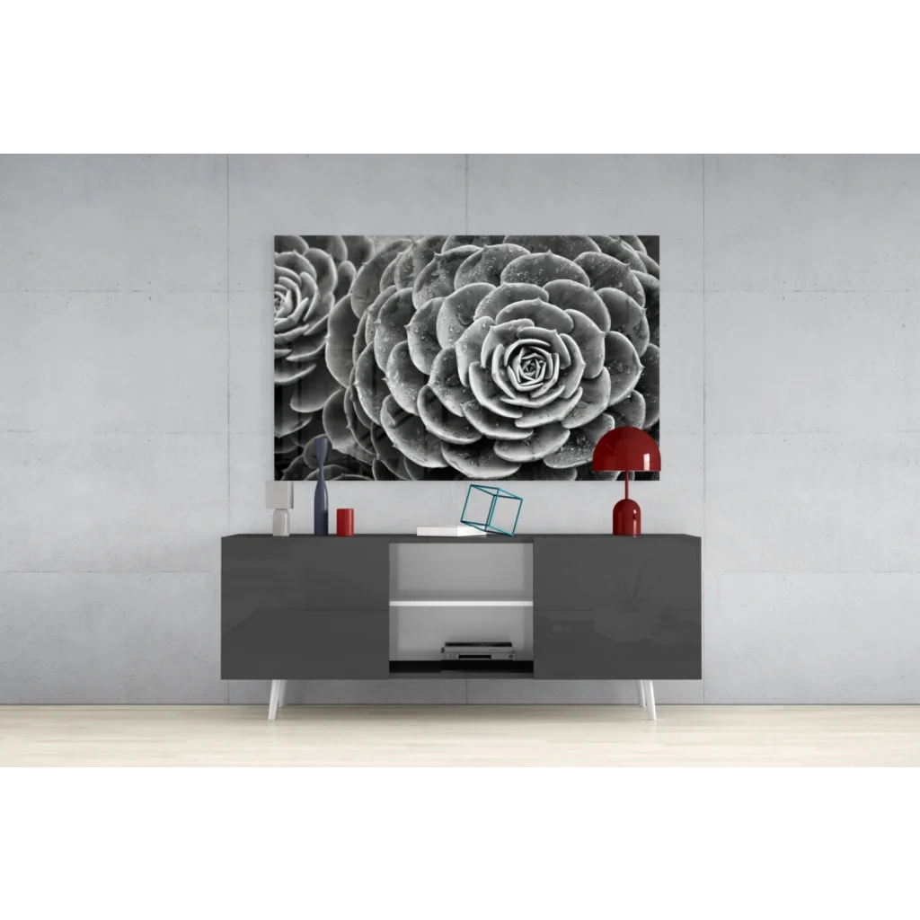 Black and white close-up of layered succulent rosettes wall art canvas