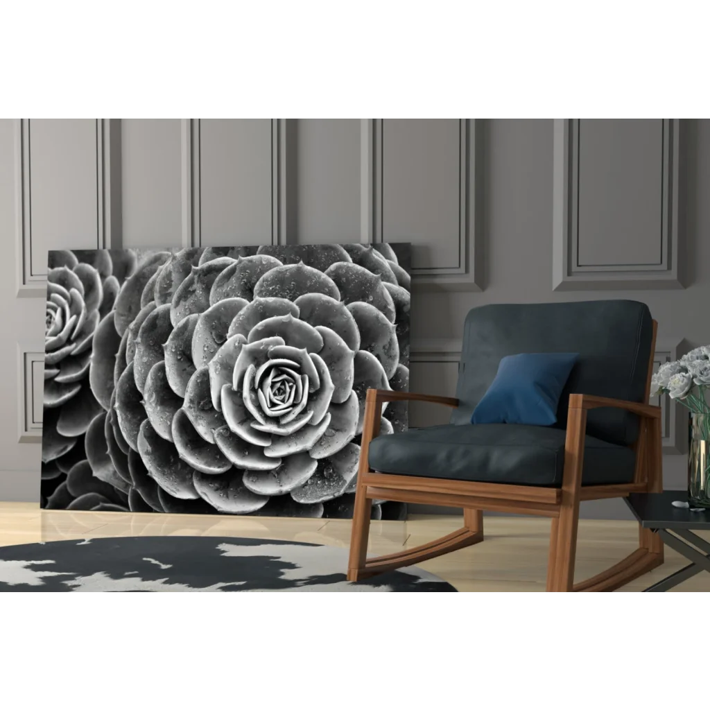Black-and-white succulent rosette canvas wall art print