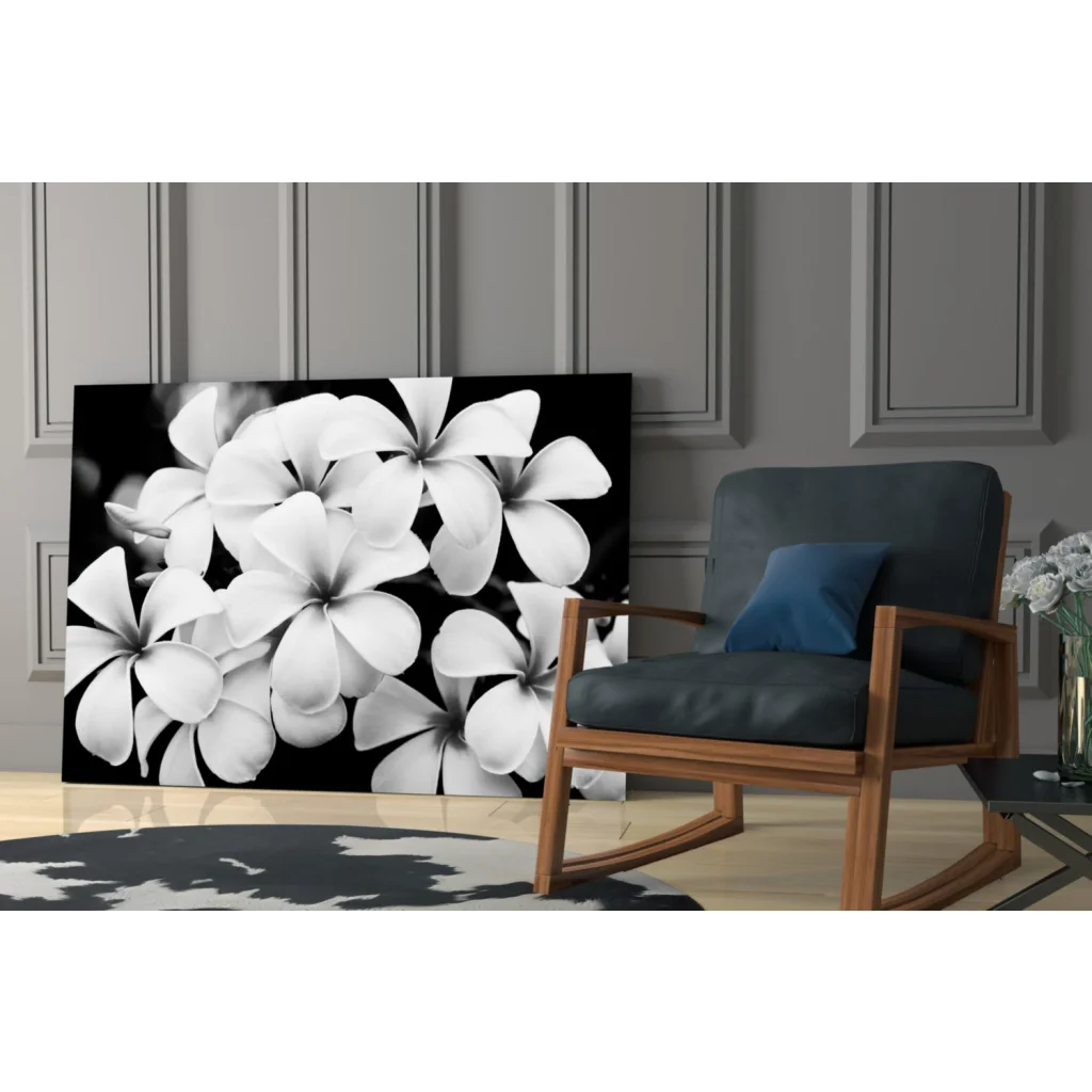 Stunning black and white plumeria blooms canvas wall art