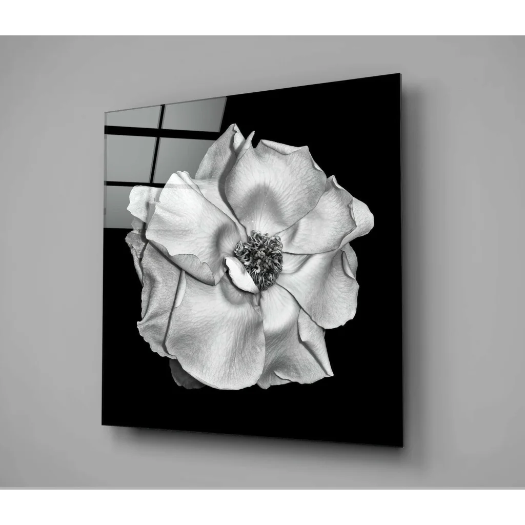 Stunning black rose glass wall art with mirror finish and textured petals