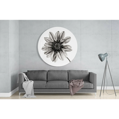 Blooming Daisy Tempered Glass Art Circle | Glass Wall Art Print | vintageantiquesgifts.com
