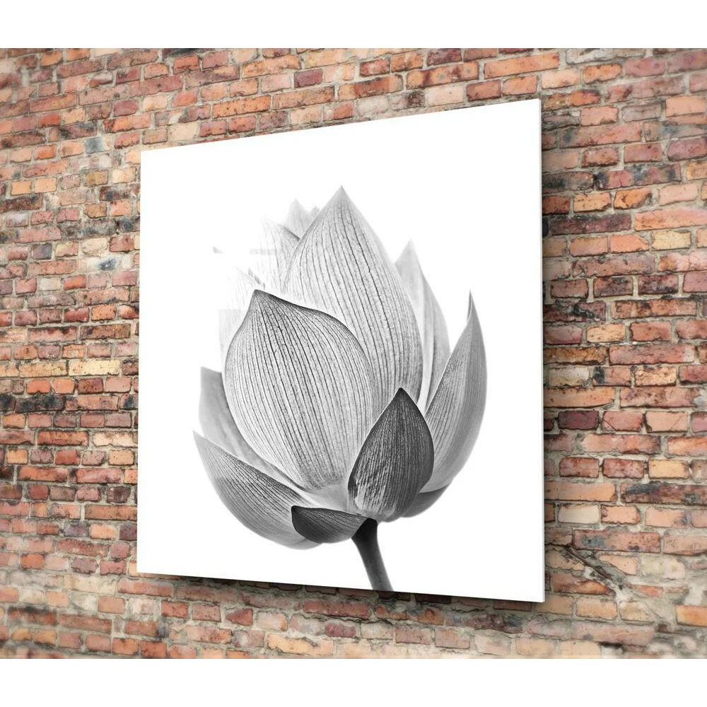 Stunning Lotus Flower Black and White Wall Art Print | Glass Wall Art Print | vintageantiquesgifts.com