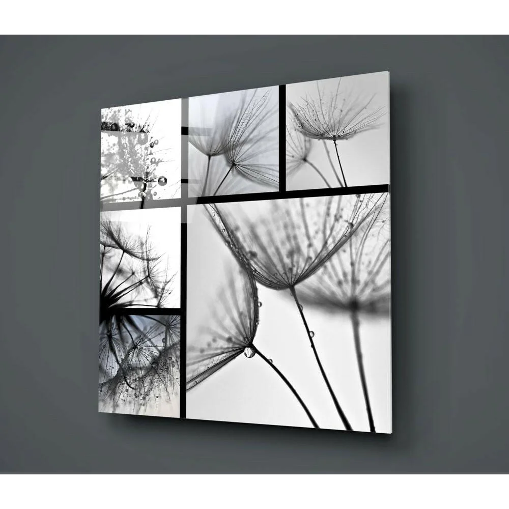 Dandelion Droplets Glass Wall Art in Stunning Black and White | Glass Wall Art Print | vintageantiquesgifts.com