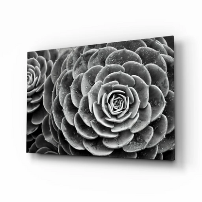 Black-and-white canvas wall art of spiral succulent rosettes with dew