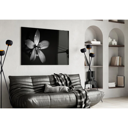 Black and white dewy flower canvas wall art print on wall