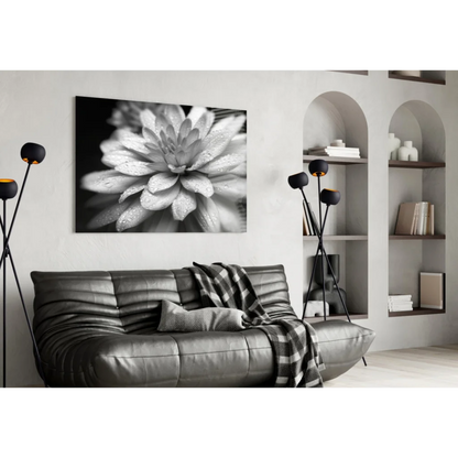 Dewy Dahlia Black and White Canvas Wall Art with Water Drops | Contemporary Home Wall Art | vintageantiquesgifts.com