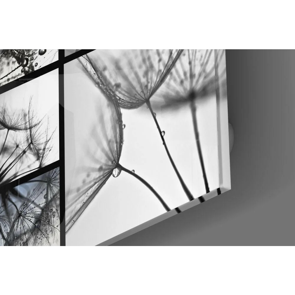 Dandelion Droplets Glass Wall Art in Stunning Black and White | Modern Wall Art Decor | vintageantiquesgifts.com
