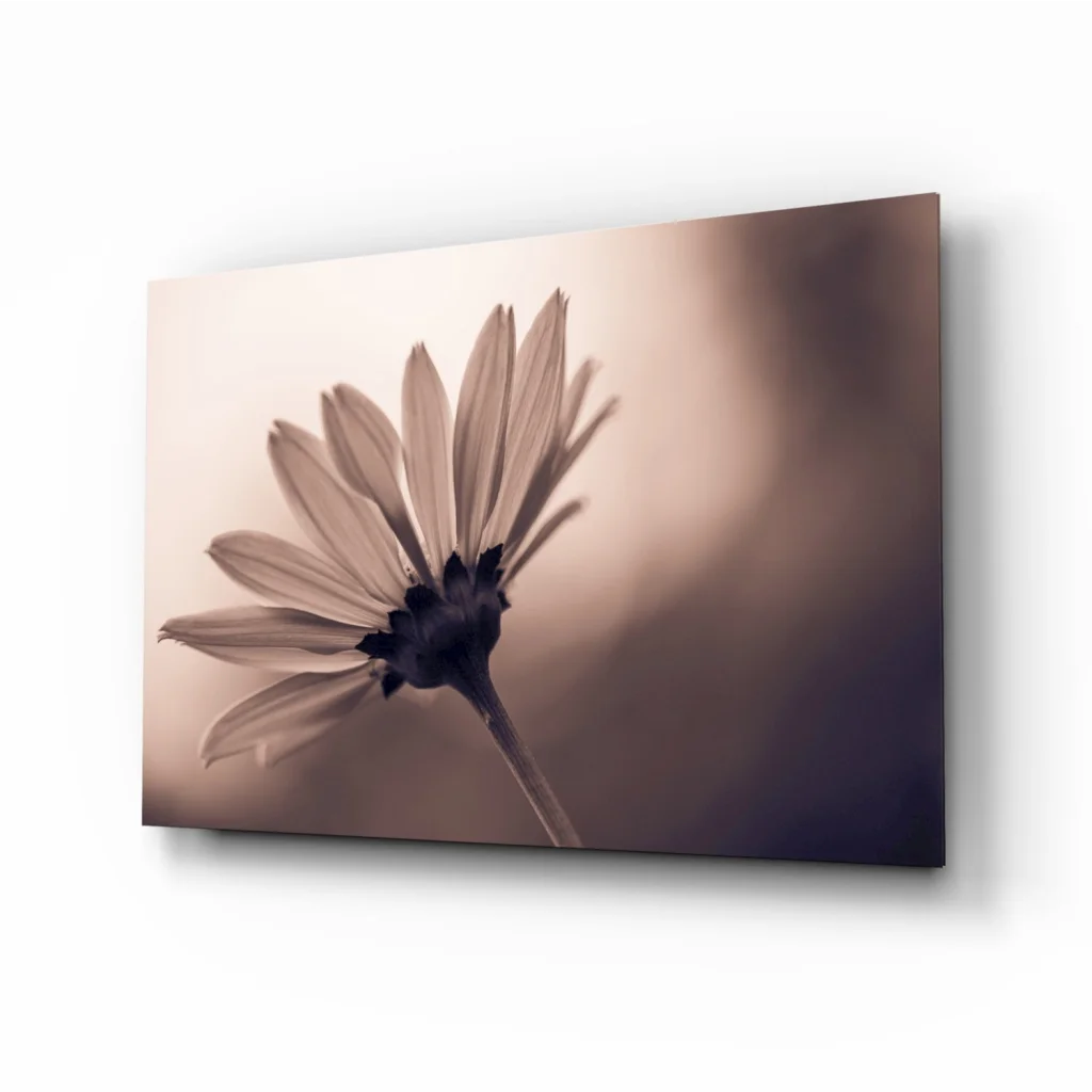 Vintage Daisy Sepia Canvas Wall Art Print | Insigneart USA | vintageantiquesgifts.com