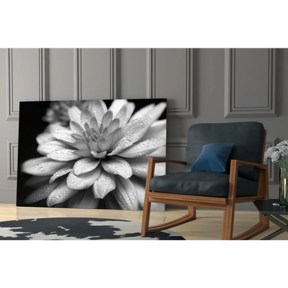 Black and white dewy dahlia canvas wall art with water drops in modern living room