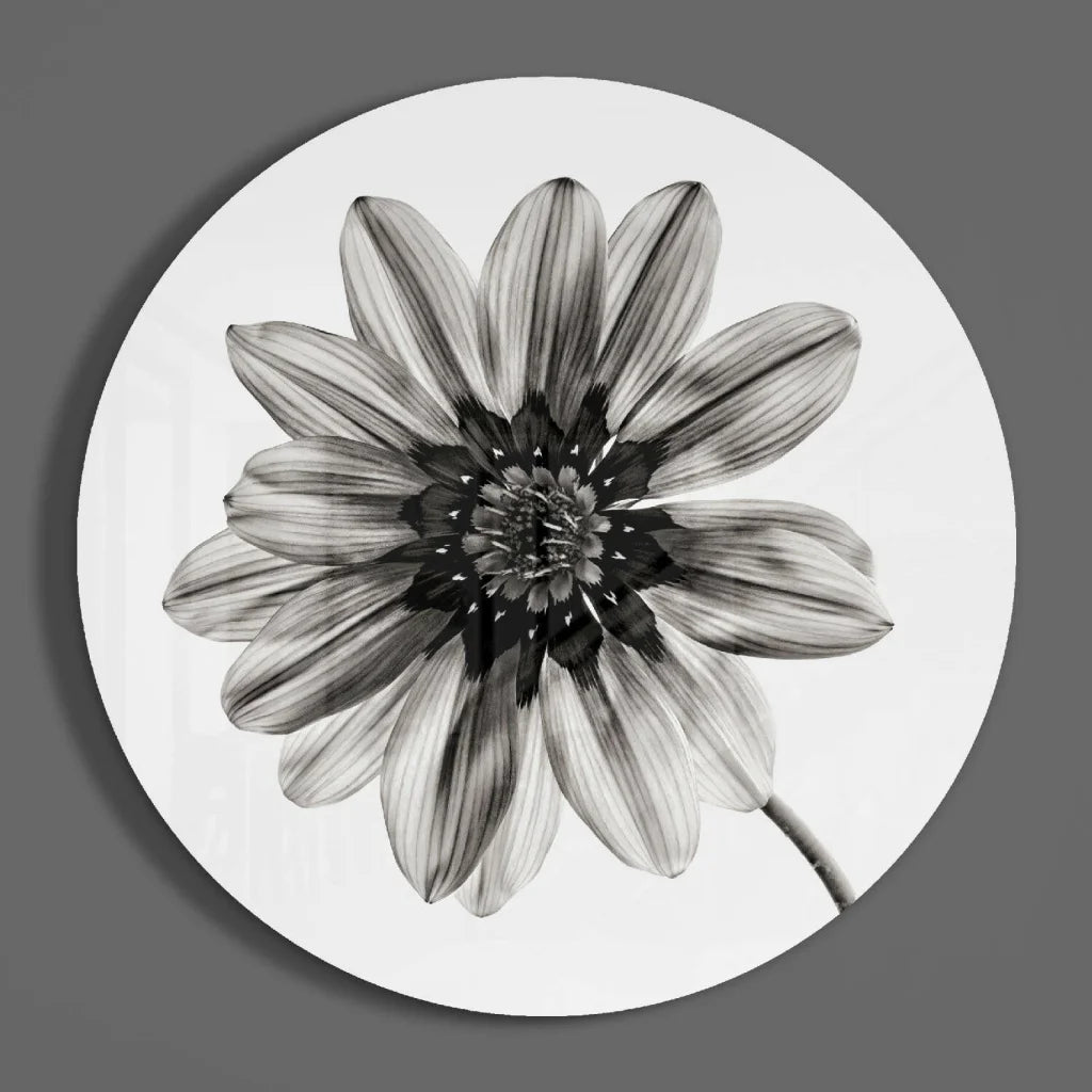 Blooming Daisy Tempered Glass Art Circle | Modern Wall Art Decor | vintageantiquesgifts.com