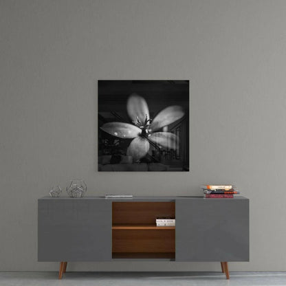 Stunning monochrome glass wall art of blurred flower dewdrops on wall