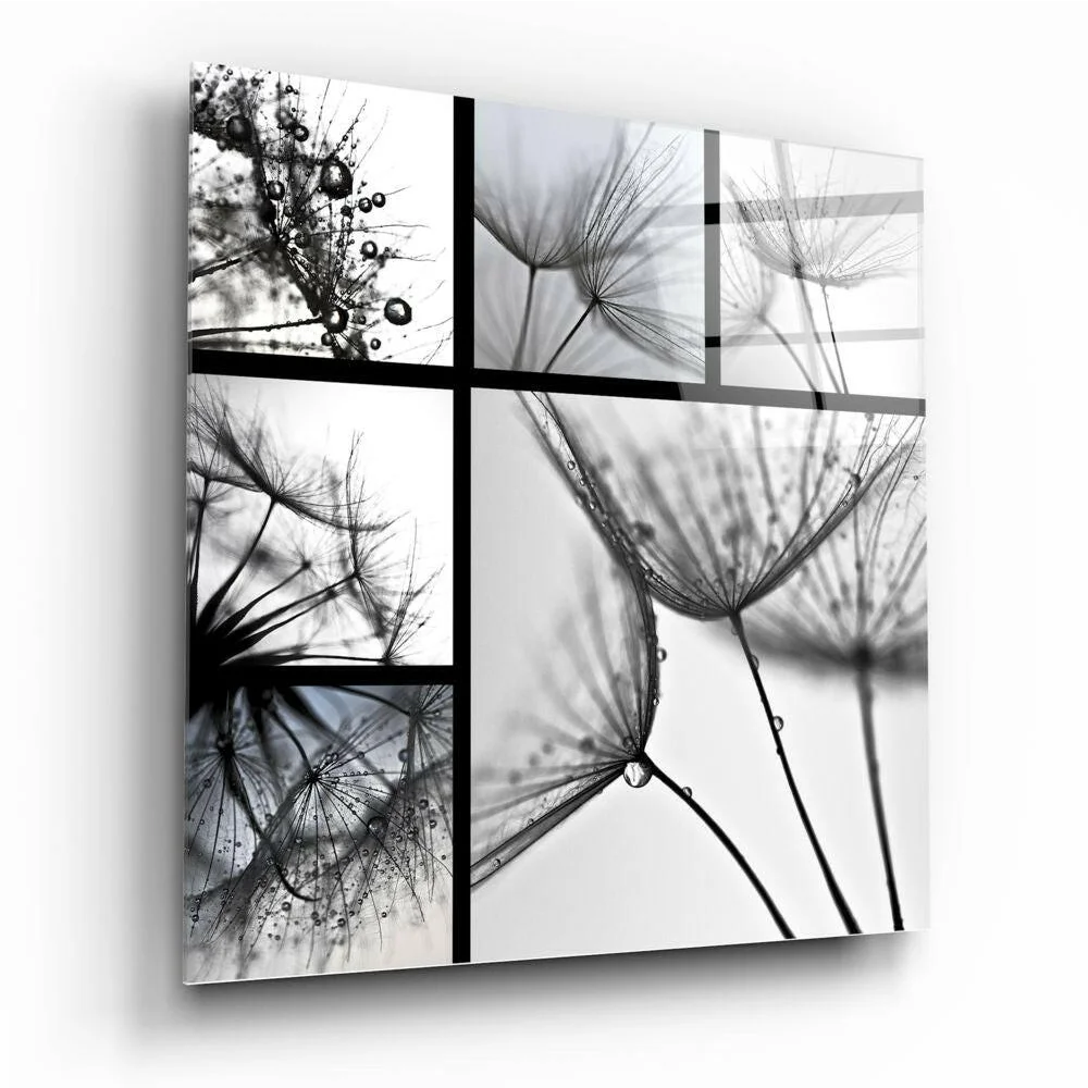 Dandelion Droplets Glass Wall Art in Stunning Black and White | Insigneart USA | vintageantiquesgifts.com