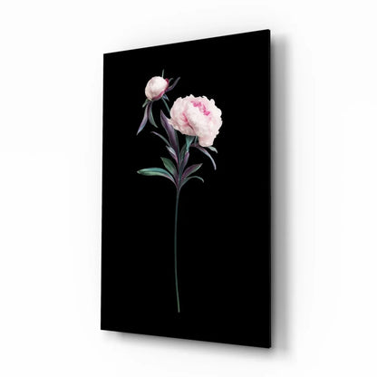 Stunning pink peony glass wall art on sleek black canvas