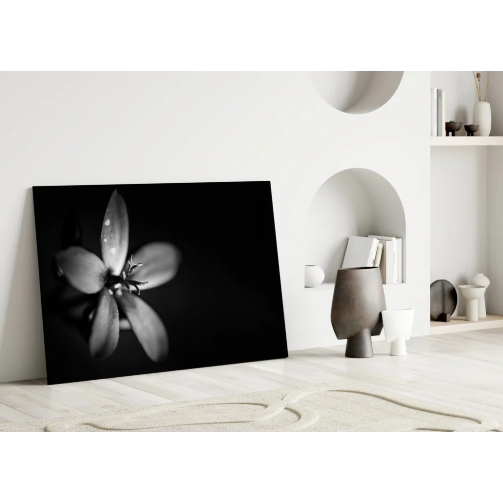 Black-and-white dewy flower canvas wall art print close-up