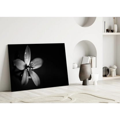 Black-and-white dewy flower canvas wall art print close-up